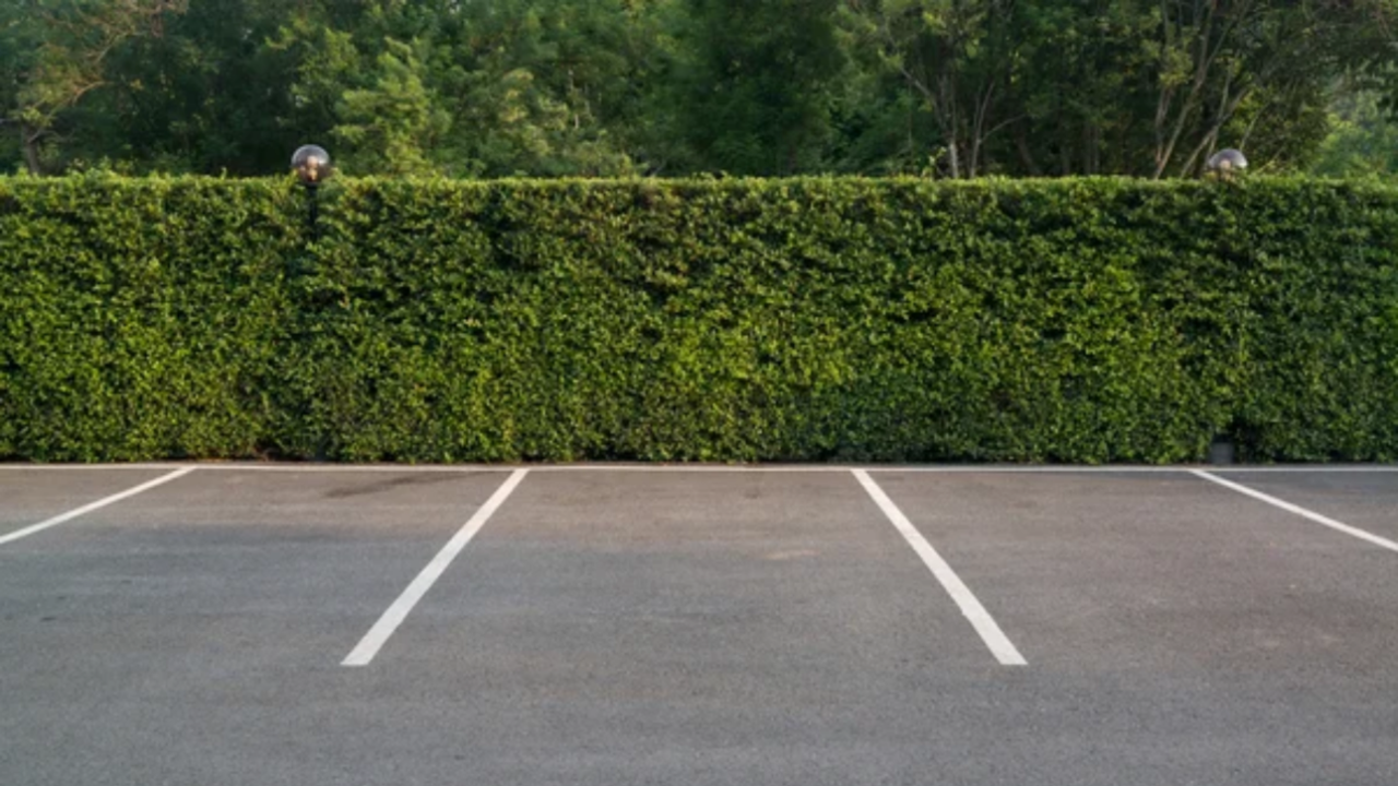 Parking Lot 1289x725